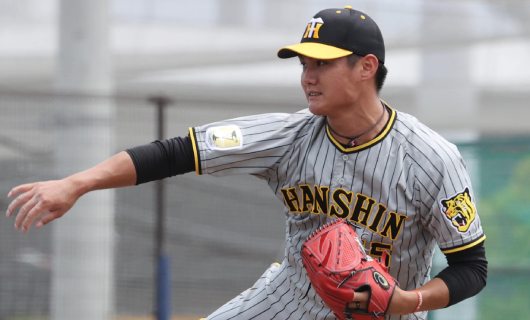 タイガース西純矢