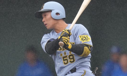 阪神タイガースの藤田健斗
