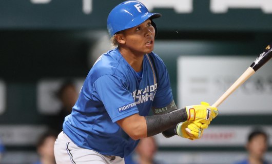 日本ハム・水谷