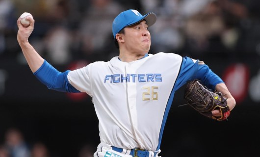 日本ハム・田中正義