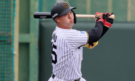 阪神タイガースの佐野大陽