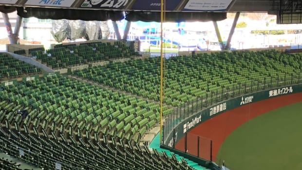 外野席設置完了で西武本拠地に 重厚感 以前の芝生席を想起させる彩り メットライフドームエリア改修 ベースボールチャンネル Baseball Channel