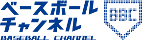 ヤクルトスワローズ 田中 浩康 実使用 グラブ SSK 横浜